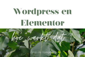 Wordpress én Elementor, hoe werkt dat?
